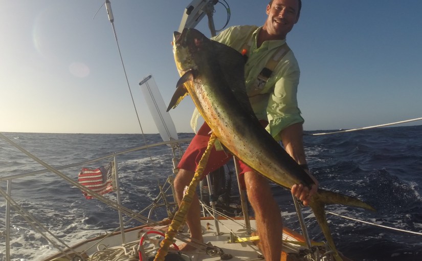 Fishing in Cape&nbsp;Verde